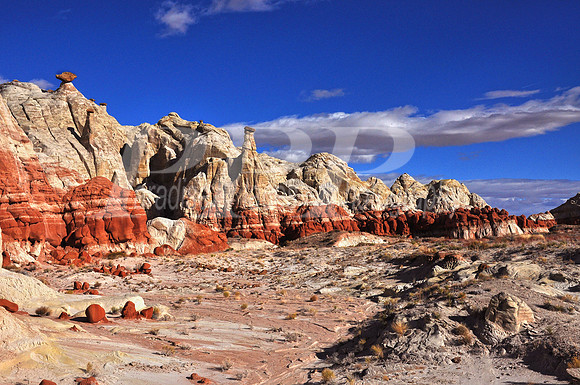 Paria Hoodoos, Rt 39, AZ
