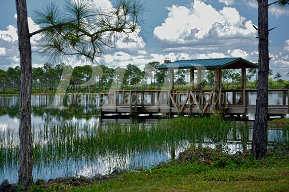 Babcock Preserve Fishing Dock, FL